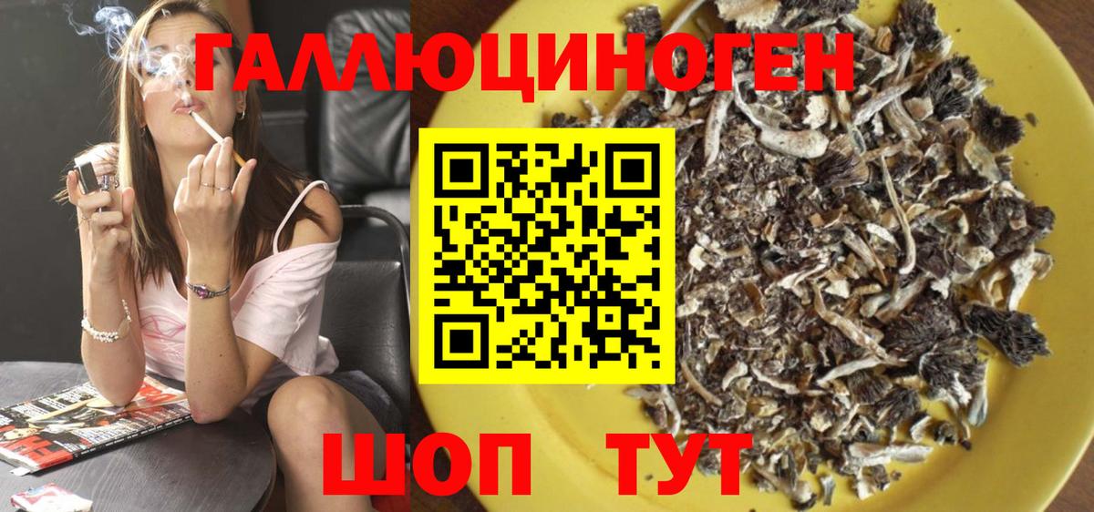 Галлюциногенные грибы Psilocybine cubensis  Вход с VPN  Вышний Волочёк 